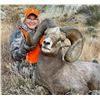 Image 1 : 2026 NORTH DAKOTA ROCKY MOUNTAIN BIGHORN SHEEP LICENSE – ND G&FD