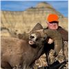 Image 2 : 2026 NORTH DAKOTA ROCKY MOUNTAIN BIGHORN SHEEP LICENSE – ND G&FD