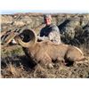 Image 5 : 2026 NORTH DAKOTA ROCKY MOUNTAIN BIGHORN SHEEP LICENSE – ND G&FD