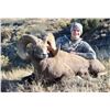 Image 6 : 2026 NORTH DAKOTA ROCKY MOUNTAIN BIGHORN SHEEP LICENSE – ND G&FD