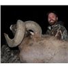 Image 7 : 2026 NORTH DAKOTA ROCKY MOUNTAIN BIGHORN SHEEP LICENSE – ND G&FD