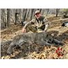 Image 5 : Mountain Lion Hunt in Arizona or Utah with Mossback Guides & Outfitters
