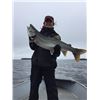 Image 4 : Canadian Fishing Trip for Two on Reindeer Lake - Lawrence Bay Lodge