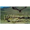 Image 7 : FDB Nevada Waterhole Project – Commemorative Tribute