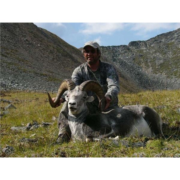 Stone Sheep Hunt in the Cassiar Mountains of British Columbia