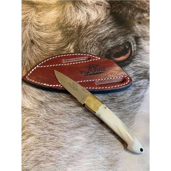 Stevenson Custom Knife with Sheep Horn Handle