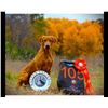 Image 2 : Yellow Labrador Retriever Puppy – Piddle Creek Kennels & Yellow River Game Farm