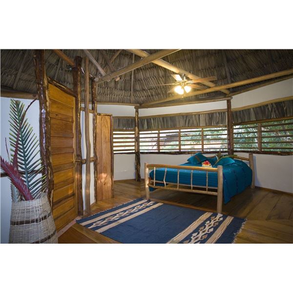Jungle Exploration in Belize for 2