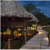 Image 3 : Jungle Exploration in Belize for 2