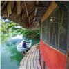 Image 7 : Jungle Exploration in Belize for 2