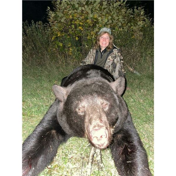 Hunt Giant Black Bears in Minnesota with the Big Bear Specialist!