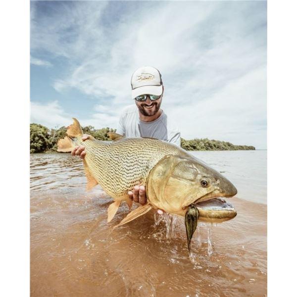 Dove Hunt for 4 hunters in Argentina - Norte Hunters