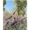 Image 3 : Dove Hunt for 4 hunters in Argentina - Norte Hunters