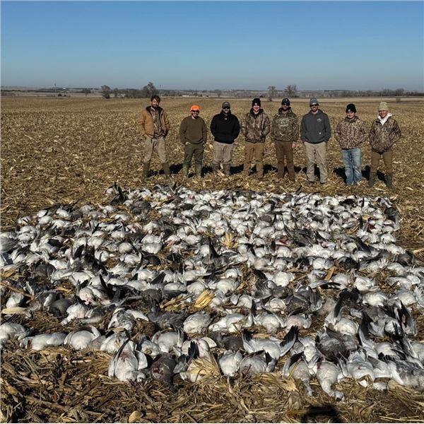 South Dakota Snow Goose Hunt for 3 Hunters – 1 Full Day