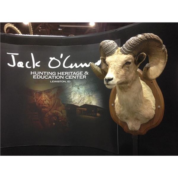 Jack O’Connor Life/Legacy Membership