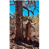 Image 3 : Mountain Lion Hunt in Arizona or Utah with Mossback Guides & Outfitters