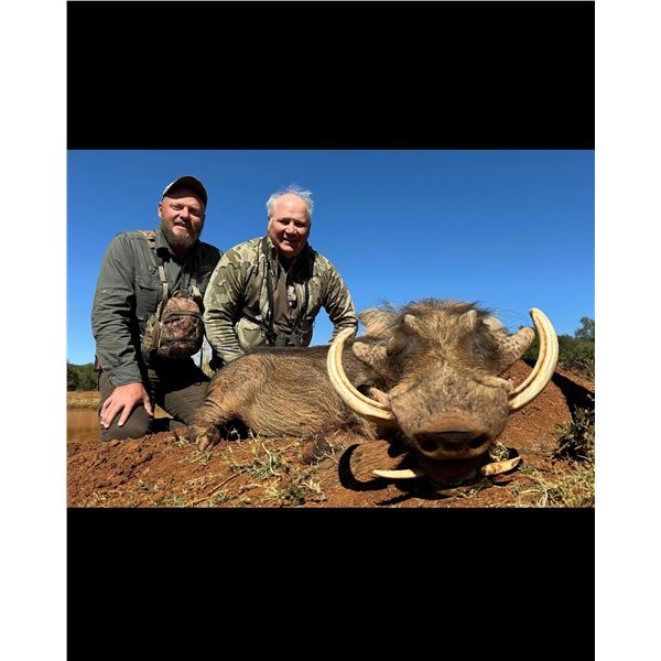 African Safari for 7 Days for 2 Hunters and 2 Non-Hunters