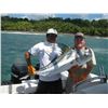 Image 2 : 6 Days Fishing in Zihuatanejo, Mexico - Roosterfish, Blue Marlin and Sailfish!