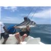 Image 4 : 6 Days Fishing in Zihuatanejo, Mexico - Roosterfish, Blue Marlin and Sailfish!