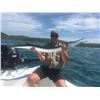 Image 5 : 6 Days Fishing in Zihuatanejo, Mexico - Roosterfish, Blue Marlin and Sailfish!