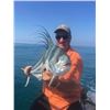 Image 6 : 6 Days Fishing in Zihuatanejo, Mexico - Roosterfish, Blue Marlin and Sailfish!