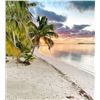 Image 4 : Beautiful Bahamas Beachfront Vacation for 8 People on Peaceful Island