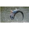Image 4 : 3 Days of Fantastic Fishing for 2 Anglers near Marco Island/Naples Florida - SFP Fishing Outfitters