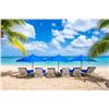 Image 3 : Beautiful Barbados Vacation for 5 Nights for 4 people