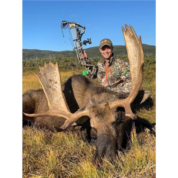 5 Day Newfoundland Moose Hunt with Northern Edge Outfitters
