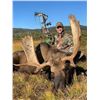 Image 1 : 5 Day Newfoundland Moose Hunt with Northern Edge Outfitters