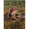 Image 5 : 5 Day Newfoundland Moose Hunt with Northern Edge Outfitters
