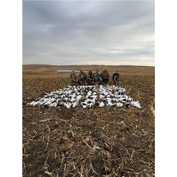 North Dakota Duck & Goose – 4 days for 2 Hunters.