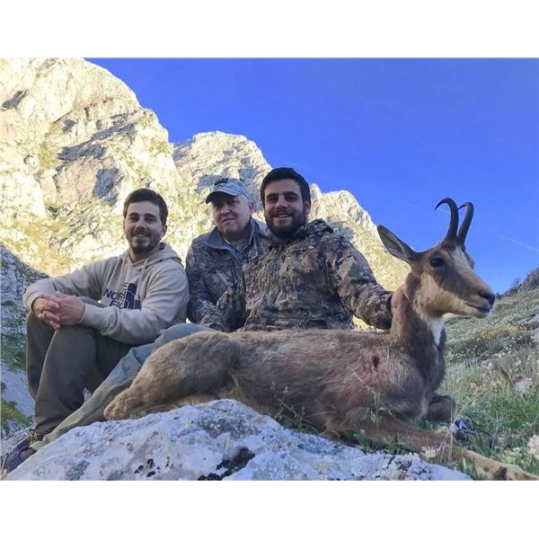 Spanish Pyrenes Chamois Hunt, Barcelona Tour, & Wine Tasting