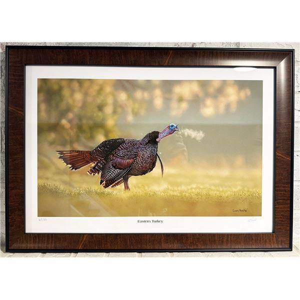 Fouche Studios Wildlife Art Turkey Collection (Set of 6 Framed Prints)