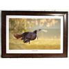 Image 1 : Fouche Studios Wildlife Art Turkey Collection (Set of 6 Framed Prints)