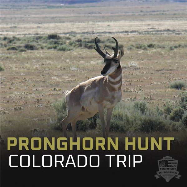 Pronghorn Hunt in Colorado