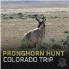 Image 1 : Pronghorn Hunt in Colorado