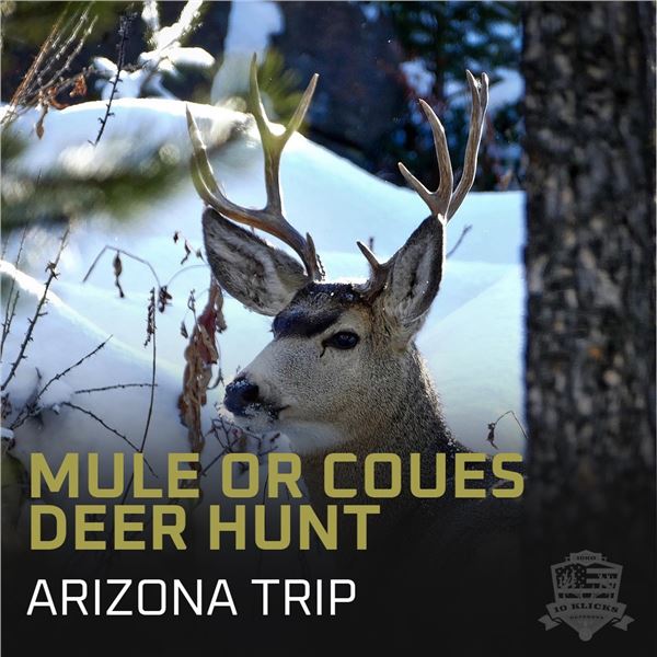 Coues Deer or Mule Deer Hunt in Arizona