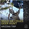 Image 1 : Coues Deer or Mule Deer Hunt in Arizona