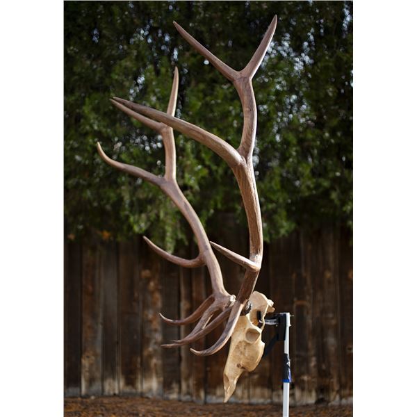 Elk Euro Mount
