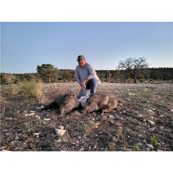 JAVALINA HUNT FOR 4 HUNTERS WITH ELK BONUS