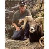 Image 11 : UTAH CALIFORNIA BIGHORN SHEEP PERMIT