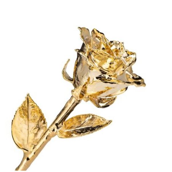 A GOLD ROSE FOR THE LADIES #2