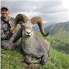 Image 6 : CONSERVATION STONE SHEEP HUNT