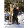 Image 4 : 7-DAY/NIGHT THERMAL WOLF AND PREDATOR HUNT IN ALASKA