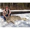 Image 5 : 7-DAY/NIGHT THERMAL WOLF AND PREDATOR HUNT IN ALASKA