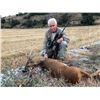 Image 2 : 4-DAY SPAIN HUNT