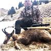 Image 3 : 4-DAY SPAIN HUNT