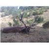 Image 5 : 4-DAY SPAIN HUNT