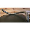 Image 1 : VERY RARE MAMMOTH TUSK